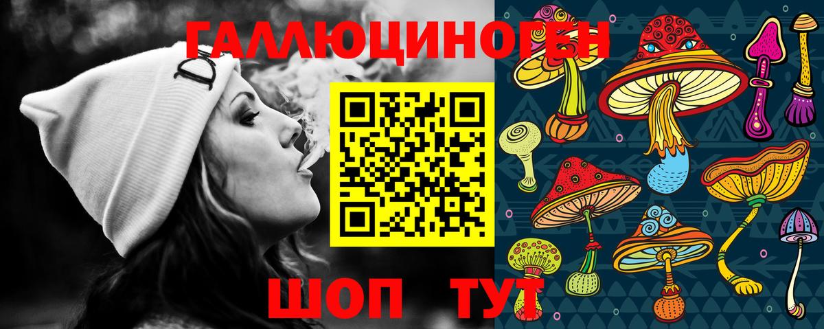 Псилоцибиновые грибы Psilocybe Тында
