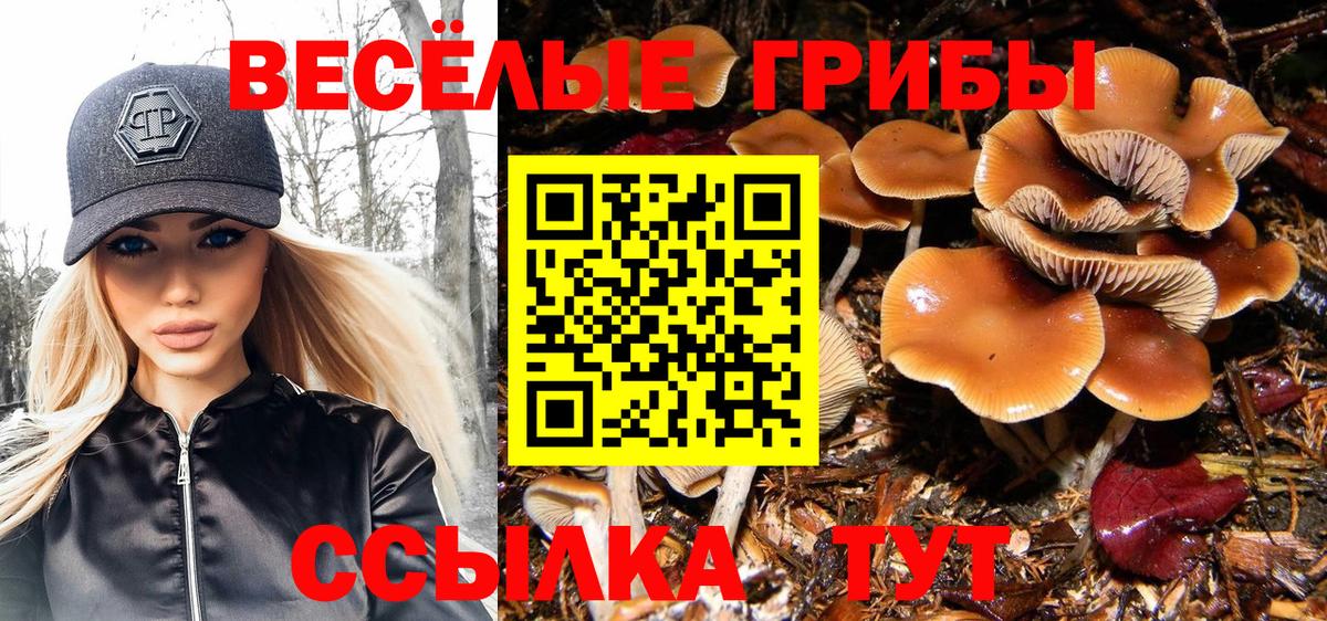 Галлюциногенные грибы прущие грибы  Псилоцибиновые грибы GOLDEN TEACHER  Вход с VPN  Тында 